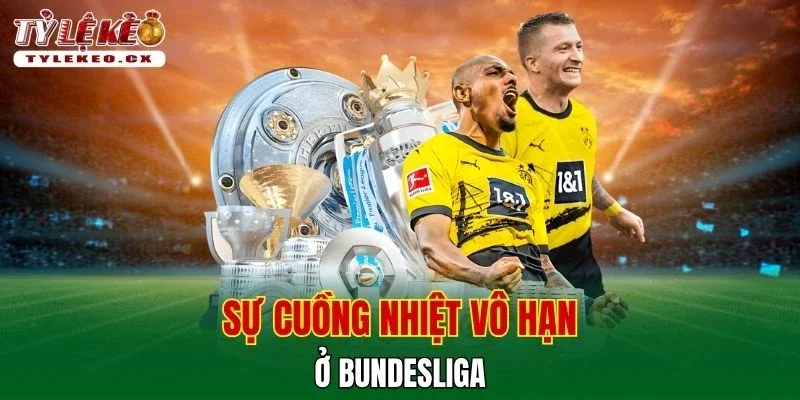 Tỷ Lệ Kèo 16 Sự cuồng nhiệt vô hạn ở Bundesliga